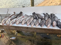 Fishing in Montauk, New York