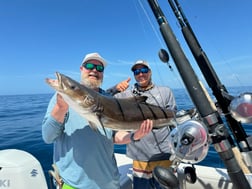 Fishing in Sarasota, Florida