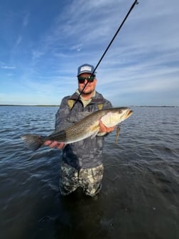 Fishing in St. Petersburg, Florida