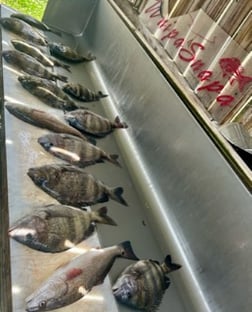 Fishing in D'Iberville, Mississippi