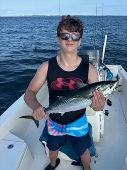 False Albacore Fishing in Beaufort, North Carolina