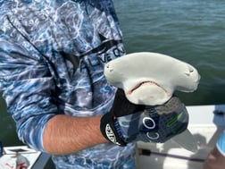 Fishing in Hilton Head Island, South Carolina