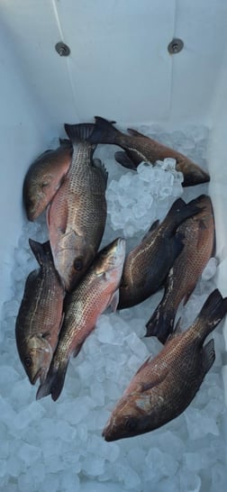 Fishing in Vero Beach, Florida