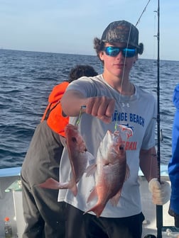 Fishing in Orange Beach, Alabama