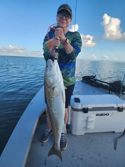 Fishing in Corpus Christi, Texas