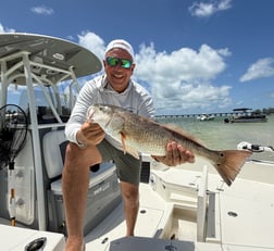 Fishing in Sarasota, Florida