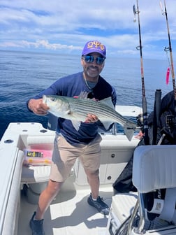 Fishing in Dennis, Massachusetts