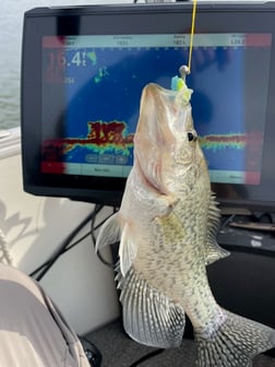 Fishing in Willis, Texas