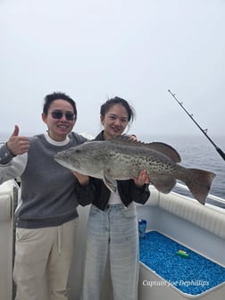 Fishing in St. Petersburg, Florida