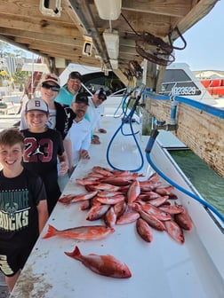 Fishing in Orange Beach, Alabama