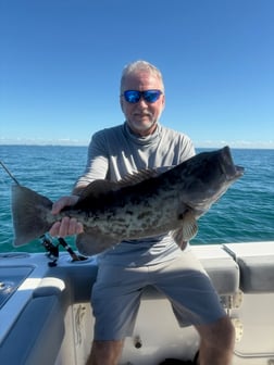Fishing in Largo, Florida