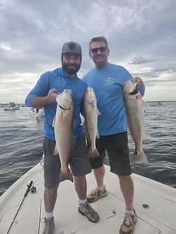 Fishing in New Smyrna Beach, Florida