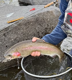 Fishing in Hume, California