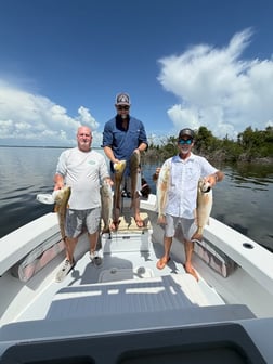 Fishing in Matlacha, Florida
