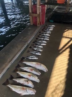 Fishing in Rockport, Texas