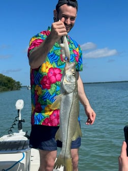 Mangrove Snapper, Speckled Trout Fishing in Key Largo, Florida