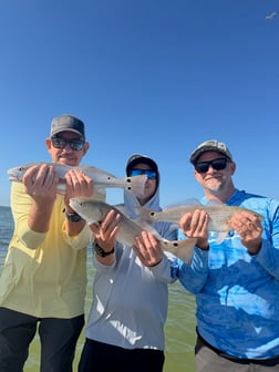 Fishing in Tampa, Florida