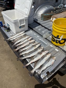 Fishing in Texas City, Texas