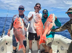 Fishing in St. Petersburg, Florida