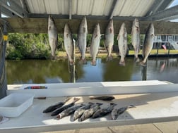 Fishing in Bay St. Louis, Mississippi