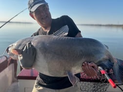 Fishing in Decatur, Alabama