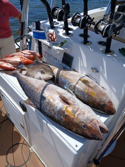 Fishing in Gulf Breeze, Florida