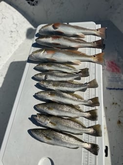 Fishing in Apalachicola, Florida