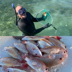 Fishing in Key West, Florida