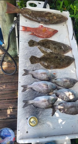 Fishing in St. Petersburg, Florida