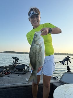 Fishing in Mt. Juliet, Tennessee