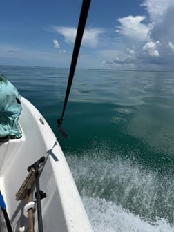 Fishing in Cape Coral, Florida