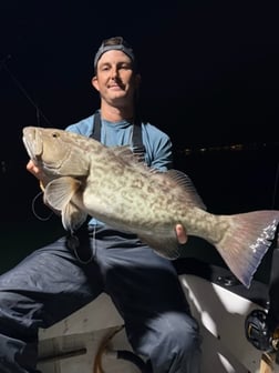 Fishing in St. Petersburg, Florida