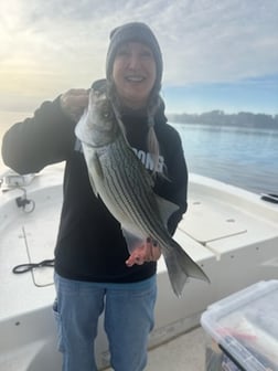 Fishing in Denver, North Carolina