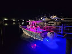 Fishing in Morehead City, North Carolina