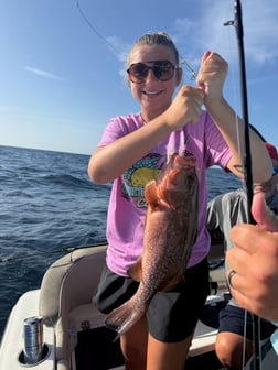 Fishing in Panama City, Florida