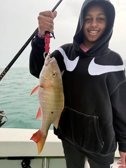 Fishing in Miami, Florida
