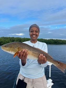 Fishing in Tarpon Springs, Florida