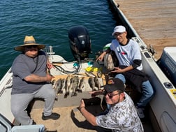 Fishing in Long Beach, California
