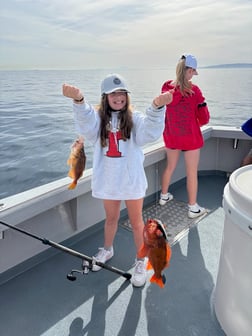Fishing in Marina del Rey, California