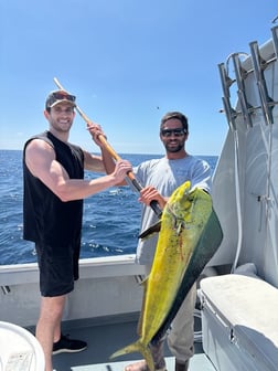 Fishing in Marina del Rey, California