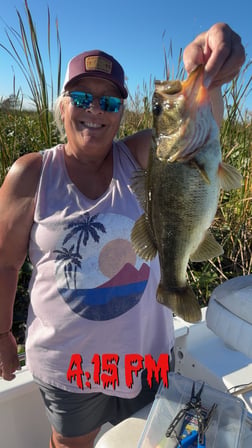 Fishing in Clewiston, Florida