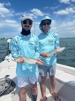 Fishing in Sarasota, Florida