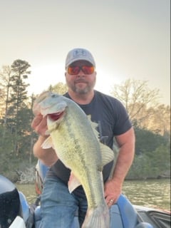 Fishing in Dardanelle, Arkansas