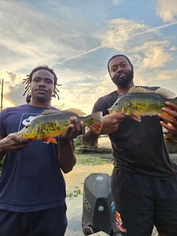 Fishing in Fort Lauderdale, Florida
