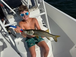 Fishing in St. Petersburg, Florida