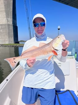 Fishing in Jacksonville, Florida
