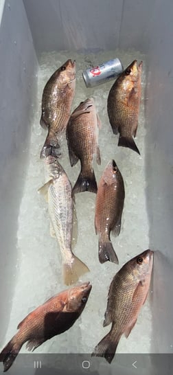 Fishing in Vero Beach, Florida