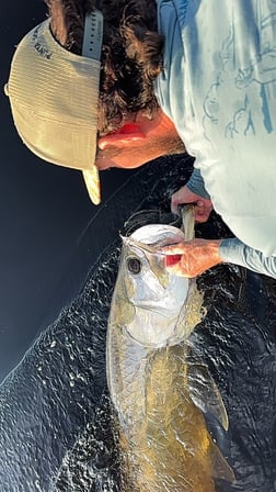Fishing in Punta Gorda, Florida