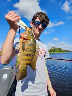 Fishing in Deerfield Beach, Florida