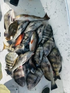 Fishing in Apalachicola, Florida